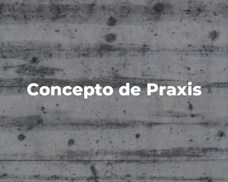 Concepto de Praxis