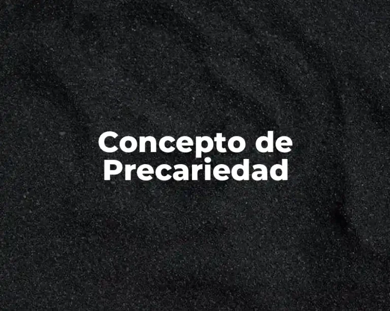Concepto de Precariedad