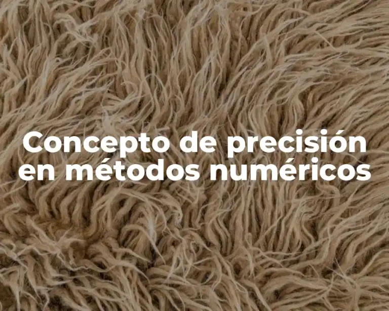 Concepto de precisión en métodos numéricos