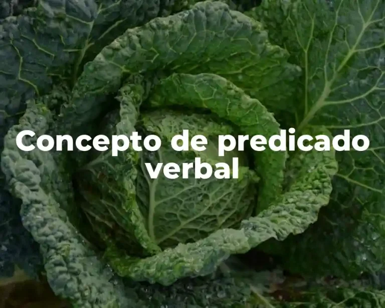 Concepto de predicado verbal