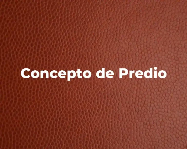 Concepto de Predio