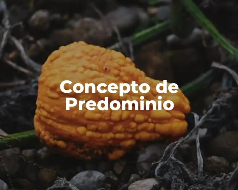 Concepto de Predominio