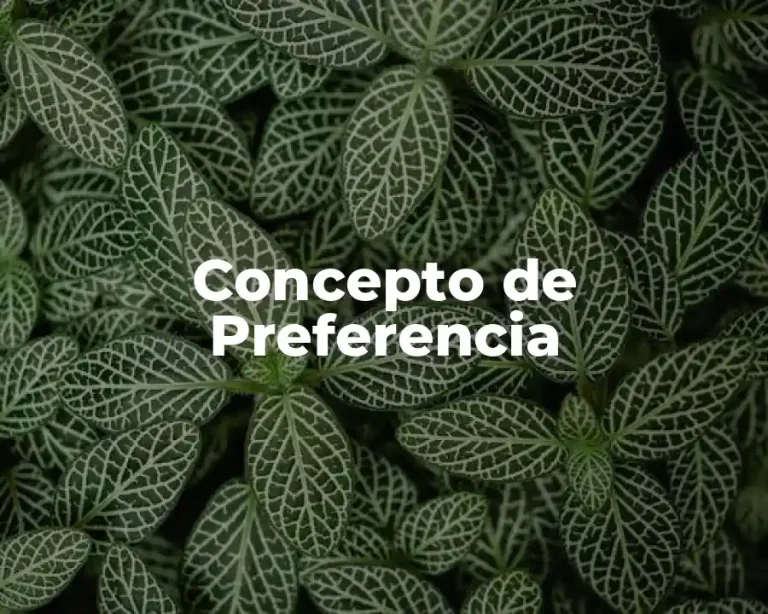 Concepto de Preferencia