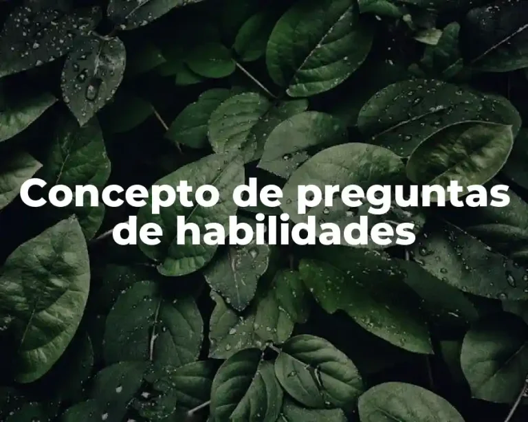 Concepto de preguntas de habilidades