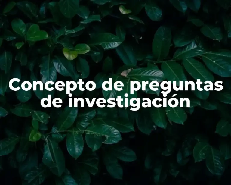 Concepto de preguntas de investigación