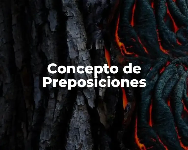 Concepto de Preposiciones