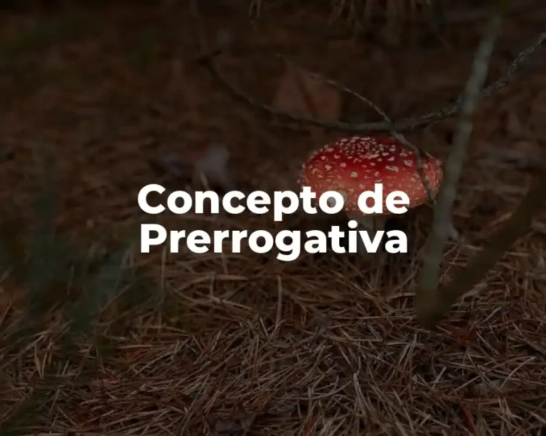 Concepto de Prerrogativa