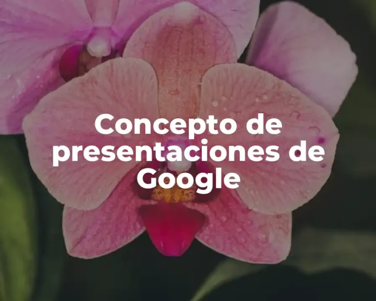 Concepto de presentaciones de Google