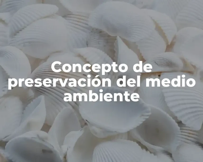 Concepto de preservación del medio ambiente