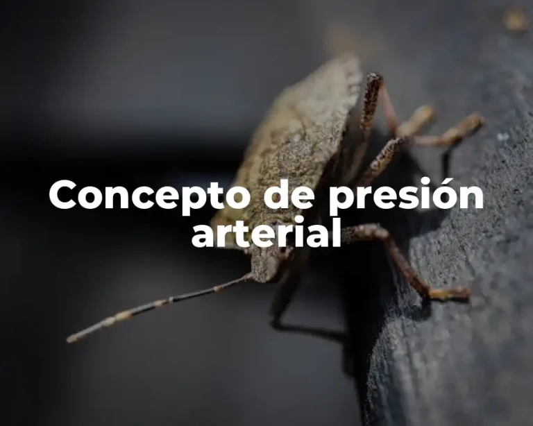 Concepto de presión arterial