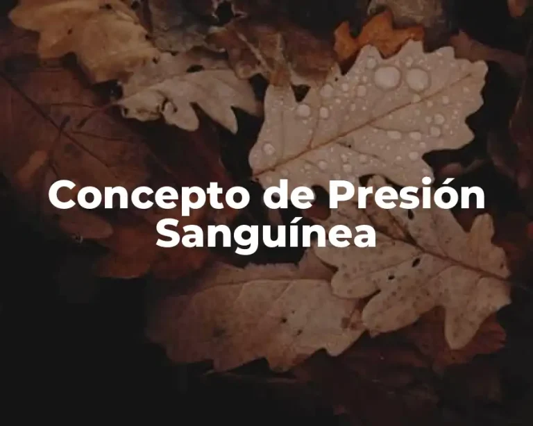 Concepto de Presión Sanguínea