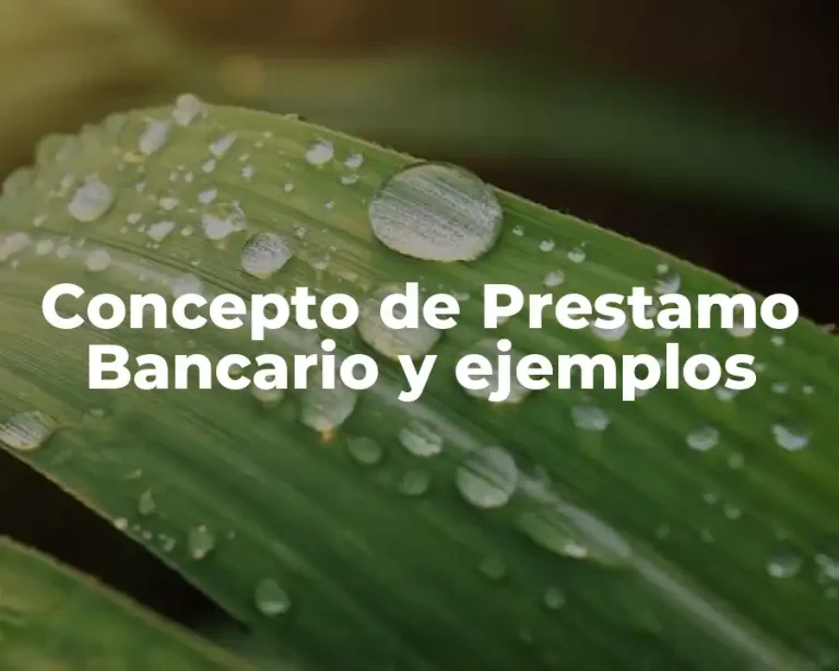 Concepto de Prestamo Bancario y ejemplos