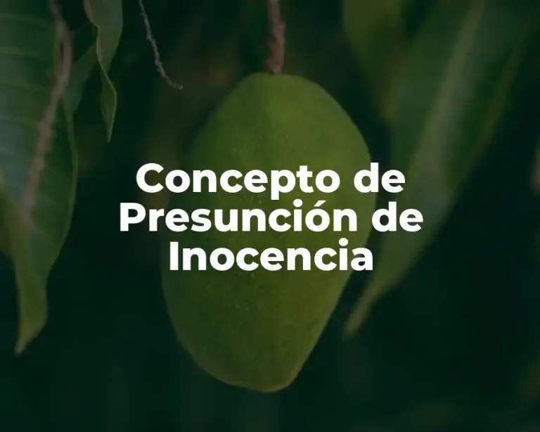 Concepto de Presunción de Inocencia