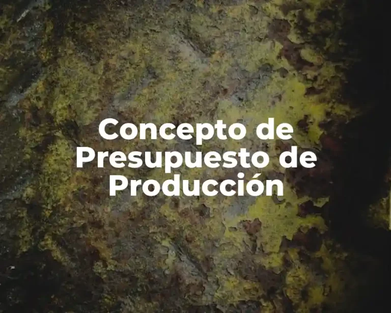 Concepto de Presupuesto de Producción