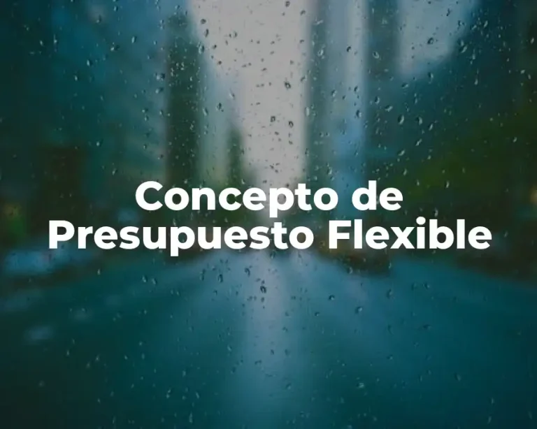 Concepto de Presupuesto Flexible