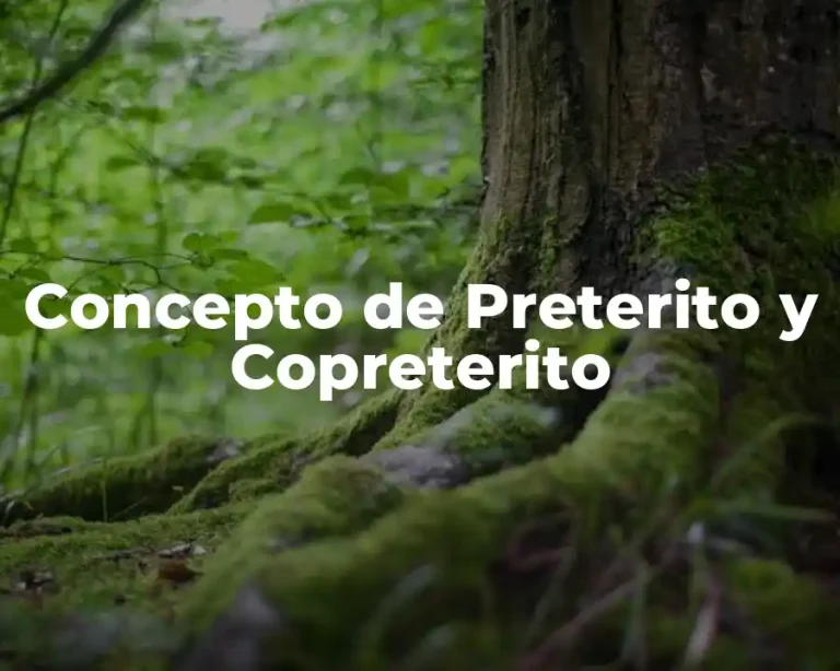 Concepto de Preterito y Copreterito