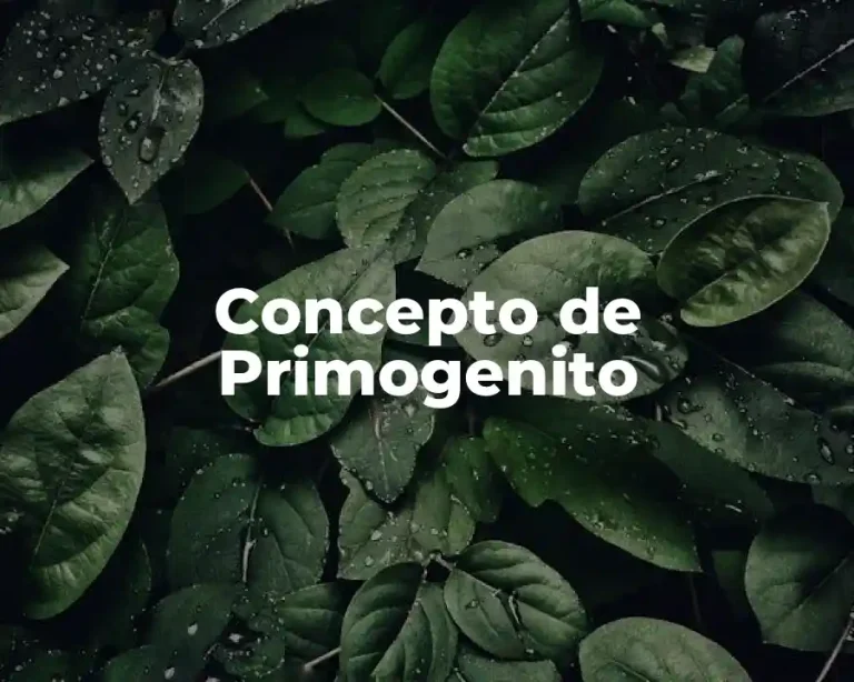 Concepto de Primogenito