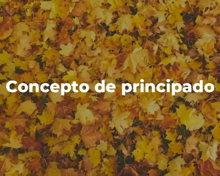 Concepto de principado