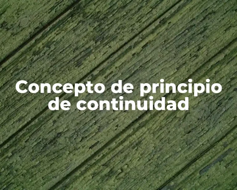 Concepto de principio de continuidad