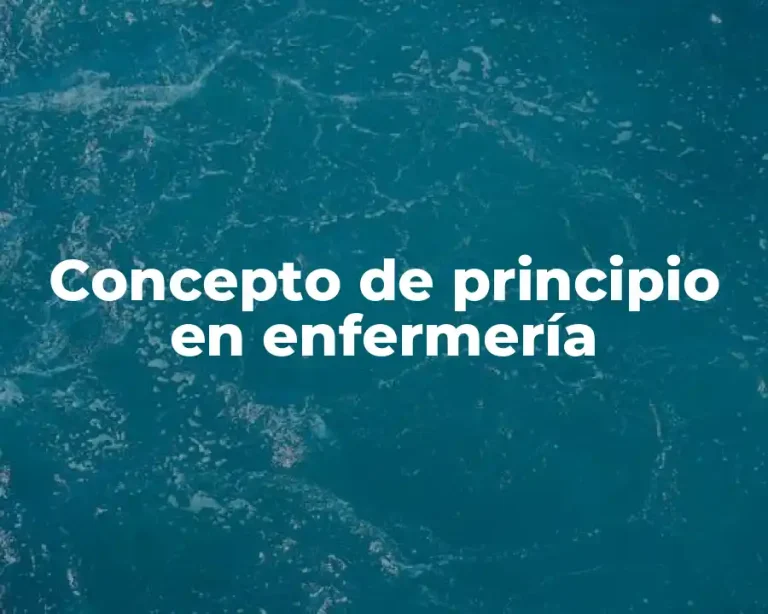 Concepto de principio en enfermería