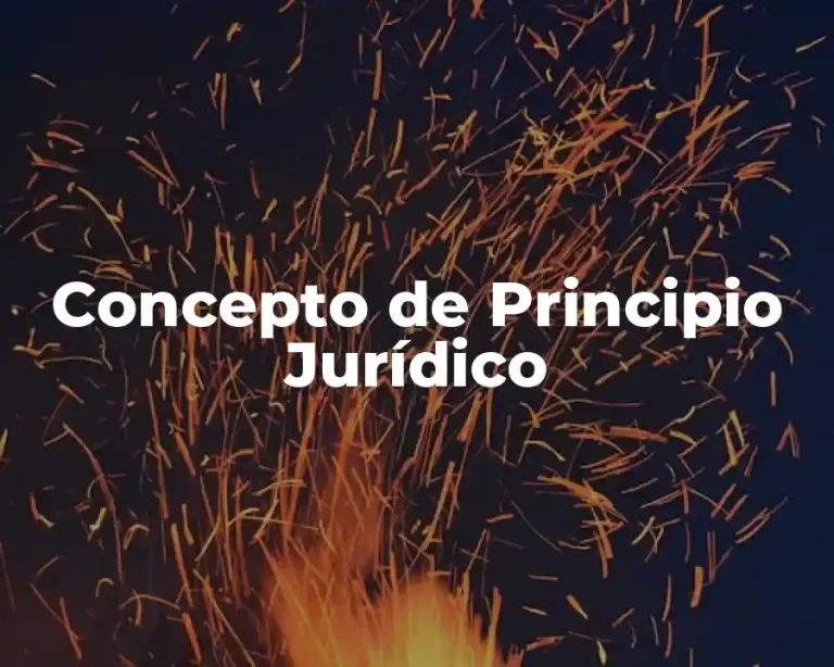 Concepto de Principio Jurídico