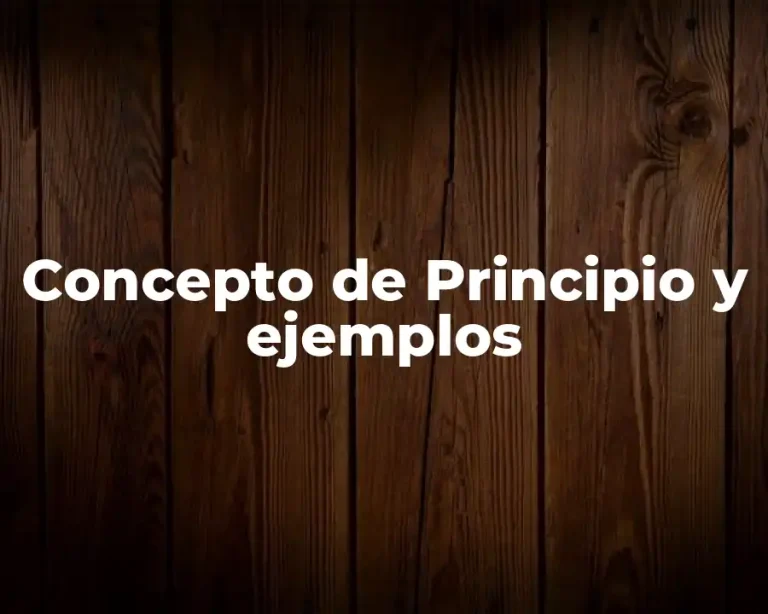 Concepto de Principio y ejemplos