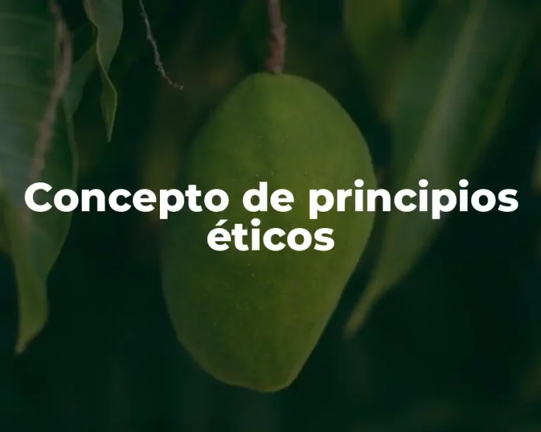 Concepto de principios éticos