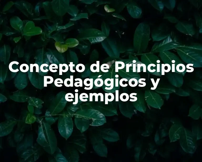 Concepto de Principios Pedagógicos y ejemplos