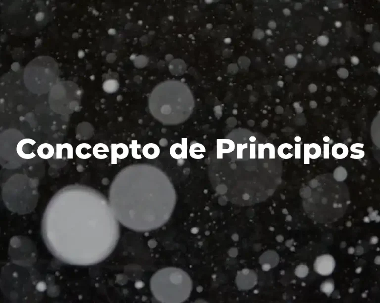 Concepto de Principios