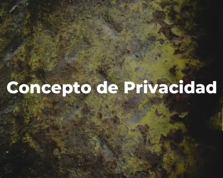 Concepto de Privacidad