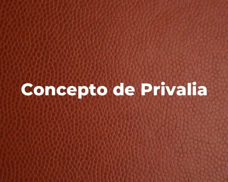 Concepto de Privalia