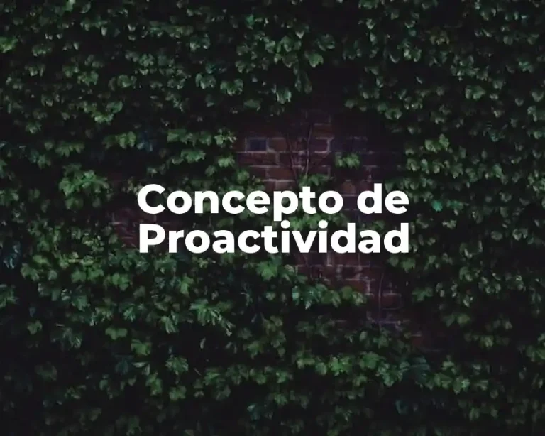 Concepto de Proactividad