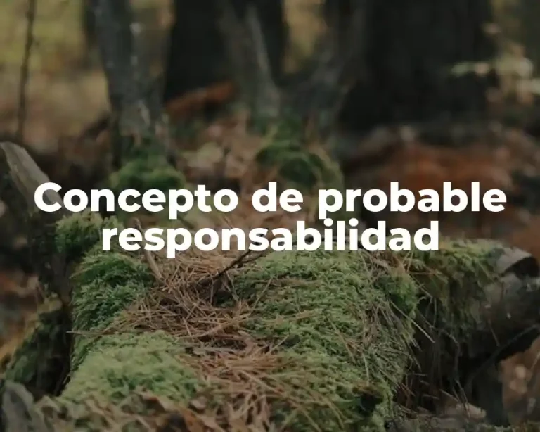 Concepto de probable responsabilidad