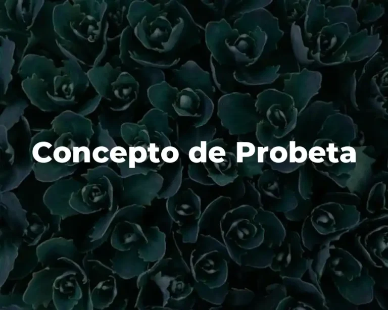 Concepto de Probeta