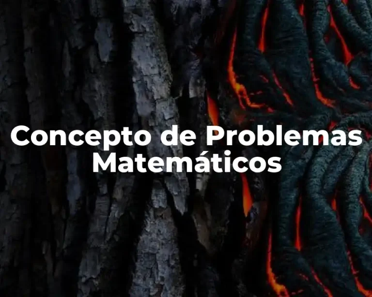 Concepto de Problemas Matemáticos