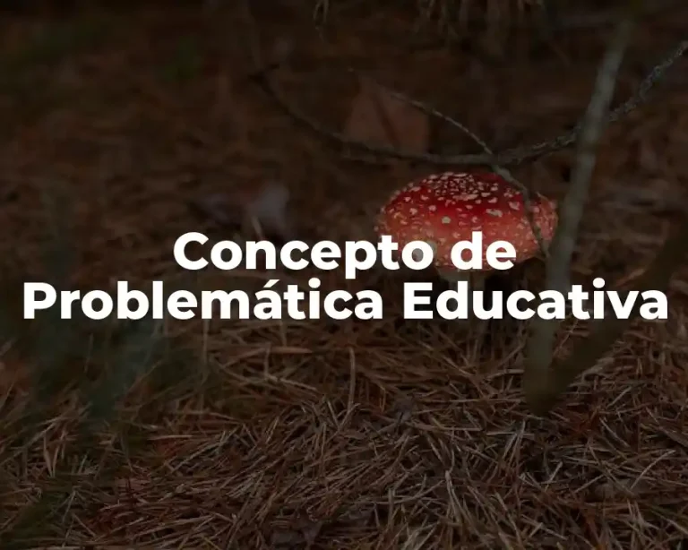 Concepto de Problemática Educativa