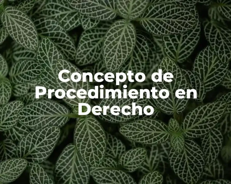Concepto de Procedimiento en Derecho