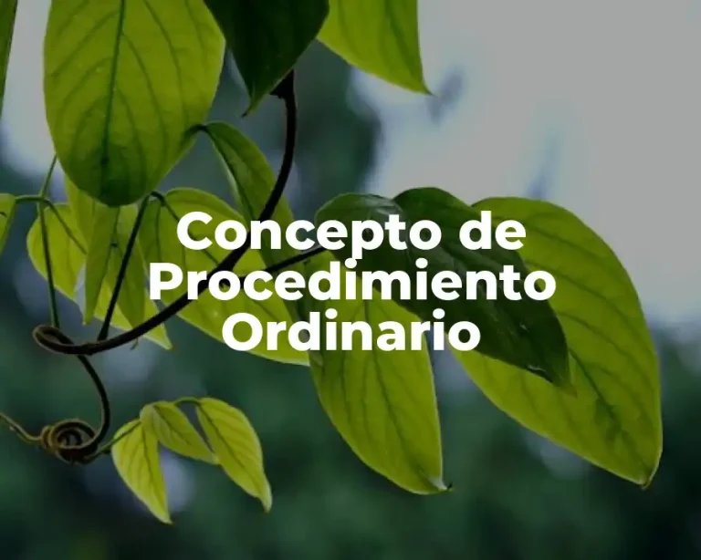 Concepto de Procedimiento Ordinario