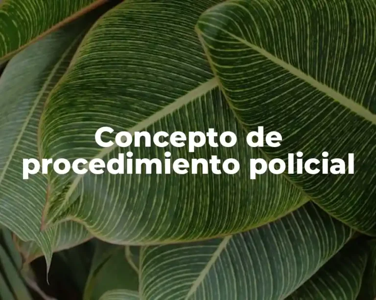 Concepto de procedimiento policial