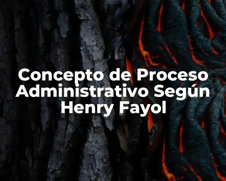 Concepto de Proceso Administrativo Según Henry Fayol