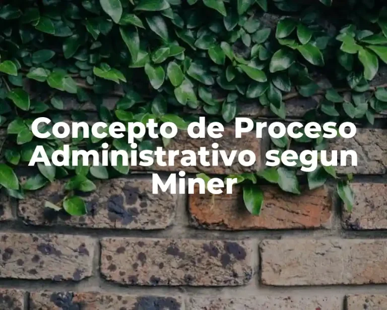 Concepto de Proceso Administrativo segun Miner