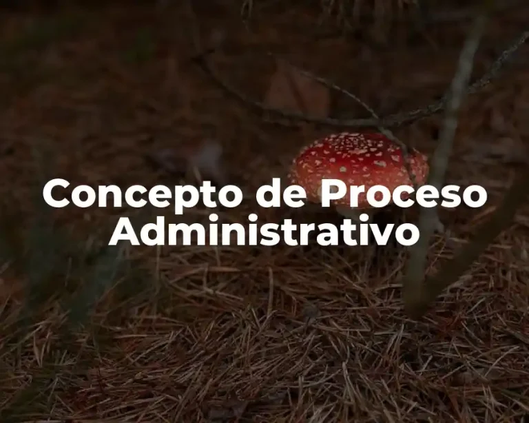Concepto de Proceso Administrativo