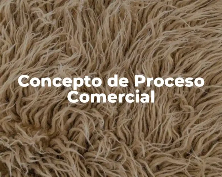 Concepto de Proceso Comercial