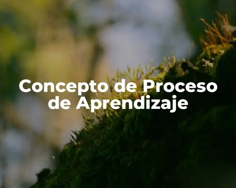 Concepto de Proceso de Aprendizaje