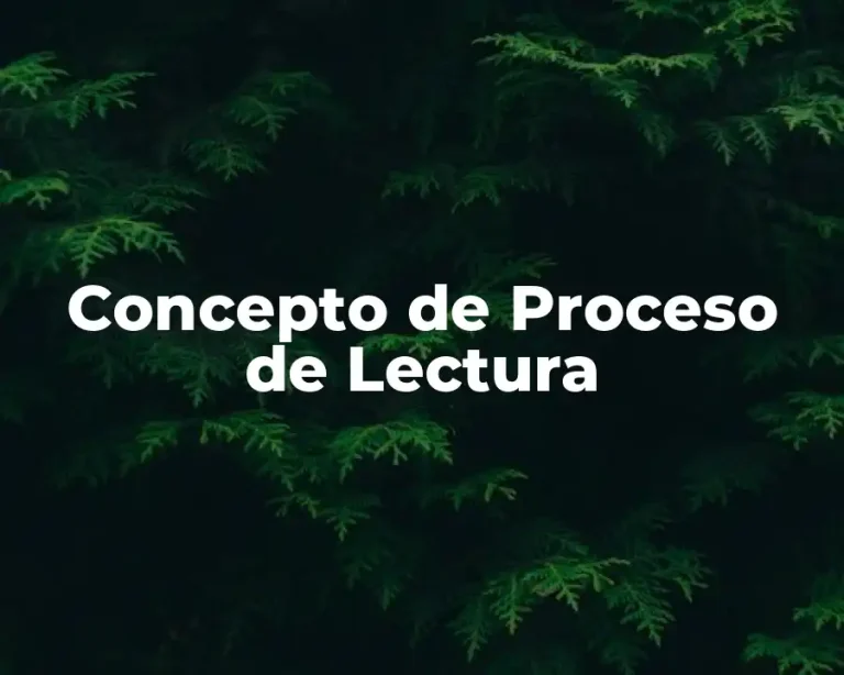 Concepto de Proceso de Lectura
