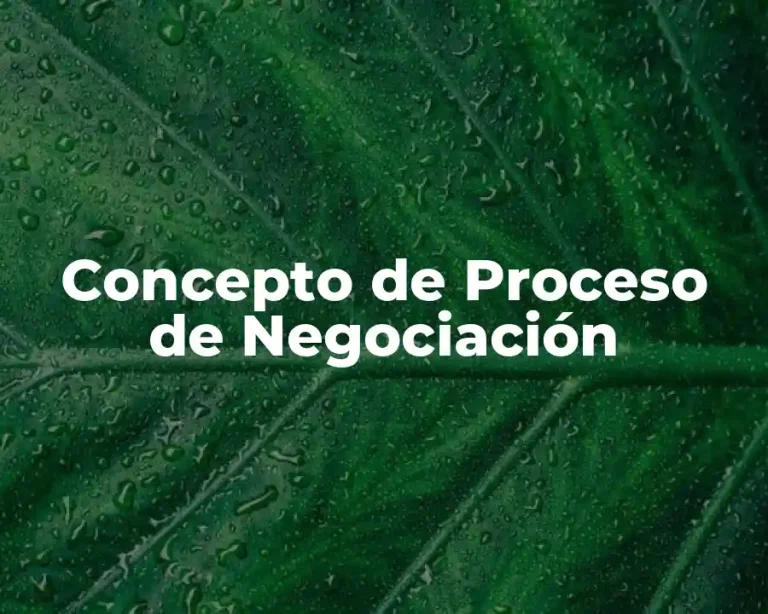 Concepto de Proceso de Negociación