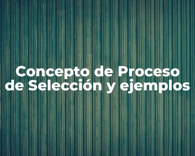 Concepto de Proceso de Selección y ejemplos