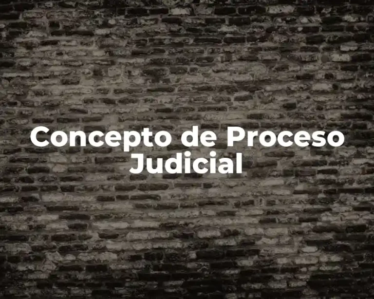 Concepto de Proceso Judicial