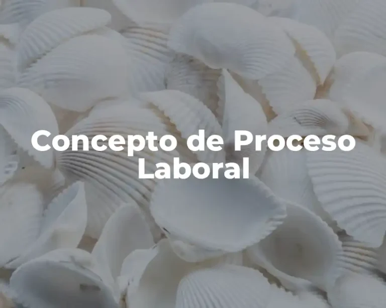 Concepto de Proceso Laboral