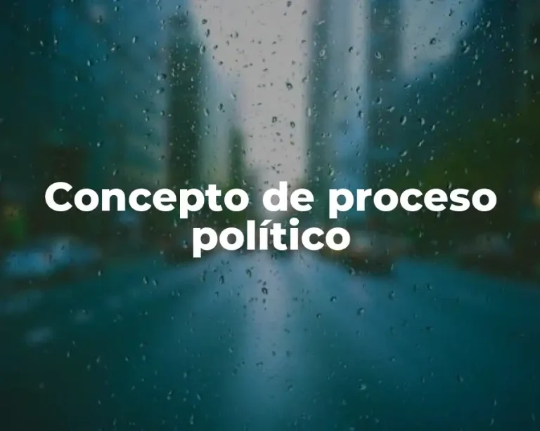 Concepto de proceso político